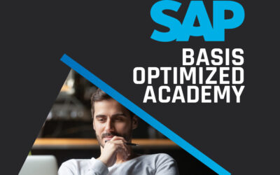 Corrida de miniatura