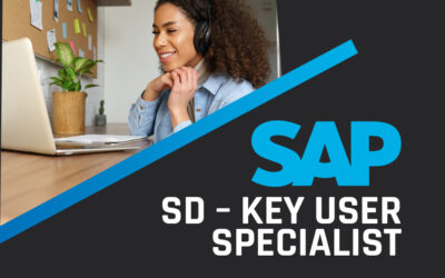 Corrida de miniatura