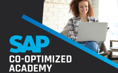 Corrida de miniatura